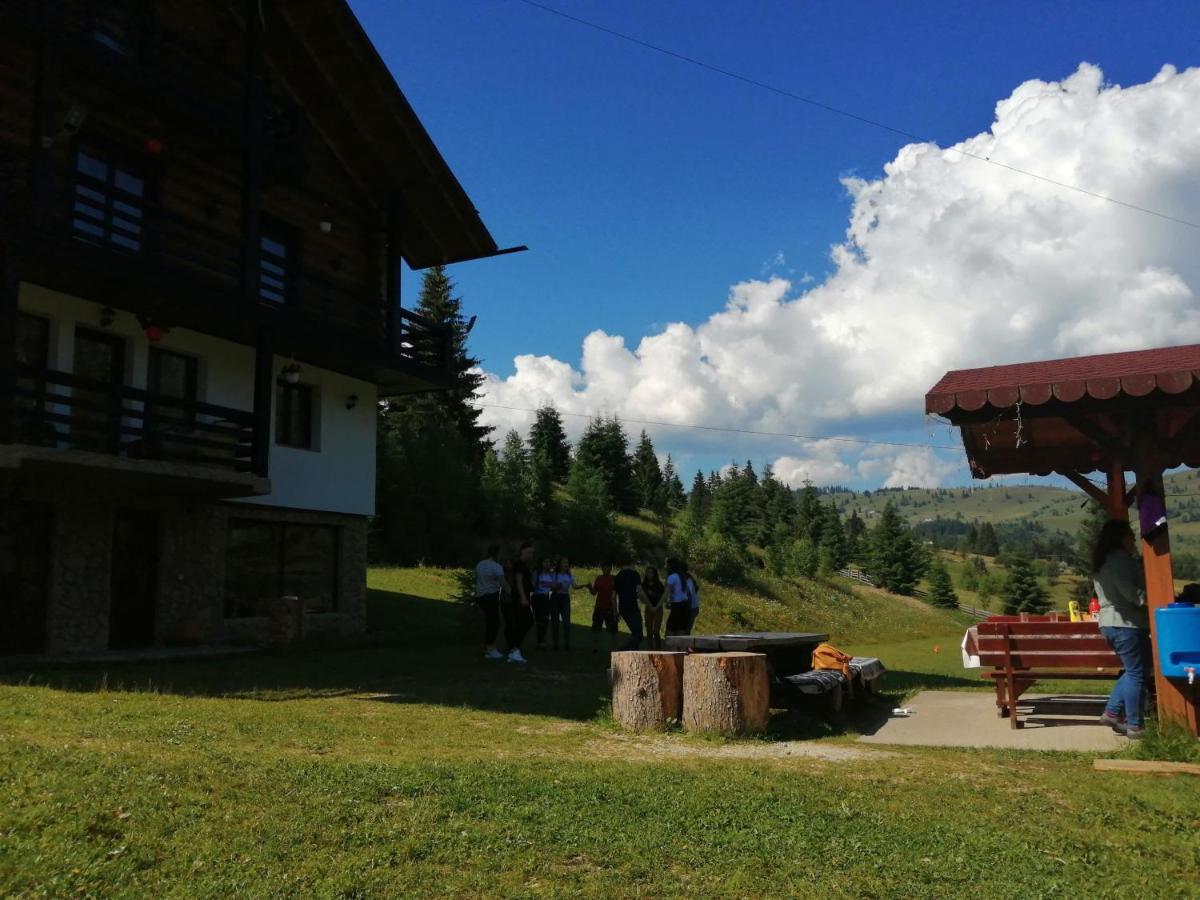 Pensiunea Waldhaus - Vatra Dornei Buitenkant foto